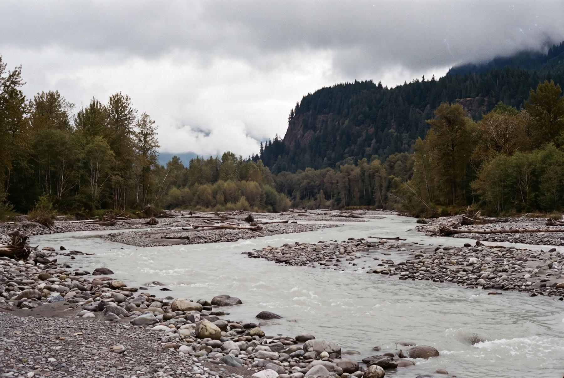 Milky gray glacial river braiding through a wide bed of rounded stones and driftwood, with alders along the banks and a steep forested bluff under low clouds