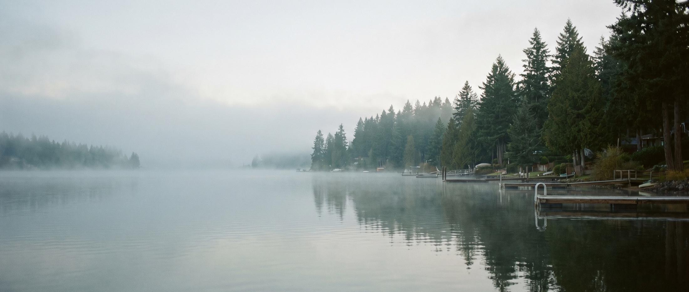 Still lake at early morning with fog drifting over the water, a shoreline of tall evergreens, and a row of private wooden docks with swim ladders